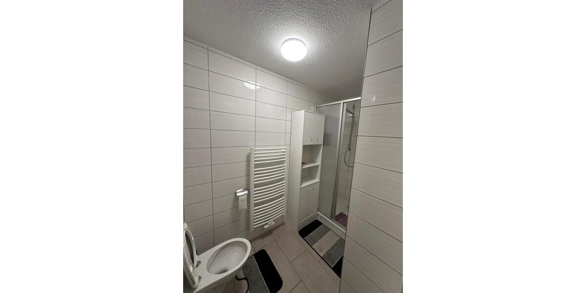 Wohnen auf Zeit Regensburg Brandlberg - 1 Zimmer, 65 m&sup2;, 500&euro; | Angebot:26228928