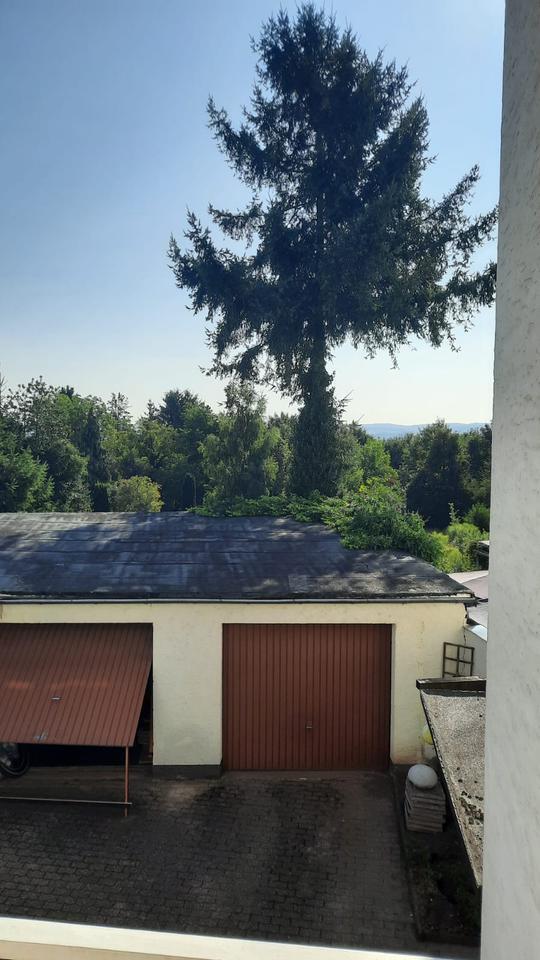 Helle 2 Zimmer-Wohnung in Koblenz-Metternich
