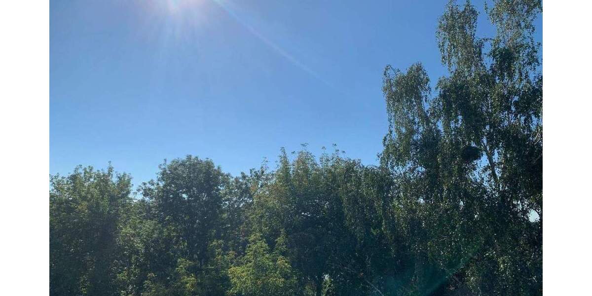 Etagenwohnung Bad Düben Weinbergshäuser - 2 Zimmer, 53 m&sup2;, 300&euro; | Angebot:25701619