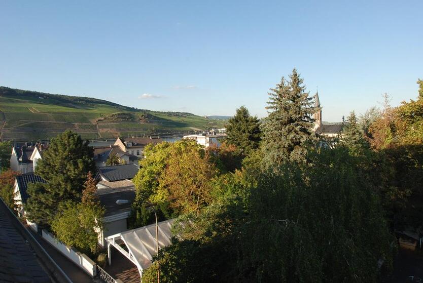 2 12 Zimmerwohnung IN RUHIGER LAGE VON BINGEN UND DOCH ZENTRAL