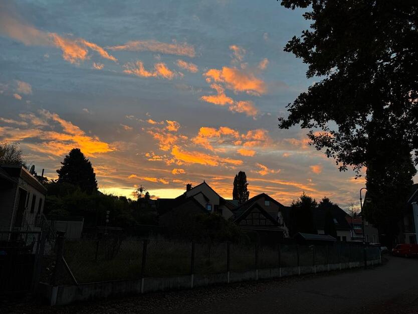 Wohnungsanzeige zimmer