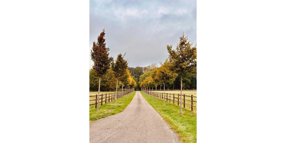 Wohnen auf Zeit Bad Bentheim - 4 Zimmer, 75 m&sup2;, 25&euro; | Angebot:15196489