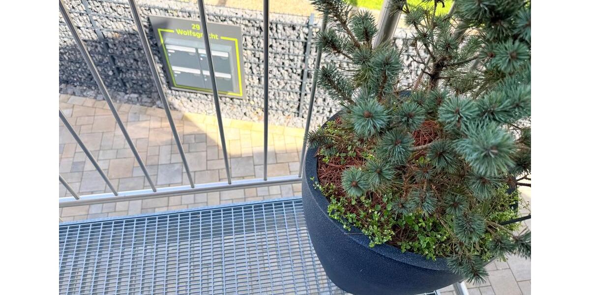 Dachgeschoßwohnung Jülich - 4 Zimmer, 100 m&sup2;, 1.350&euro; | Angebot:26300561