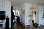 Etagenwohnung Osnabrück Dodesheide - 3 Zimmer, 96 m&sup2;, 1.200&euro; | Angebot:26587238