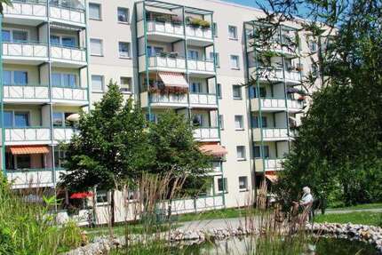 Wohnung zum Mieten in Zwickau 251,60 € 37 m² 2 zimmer