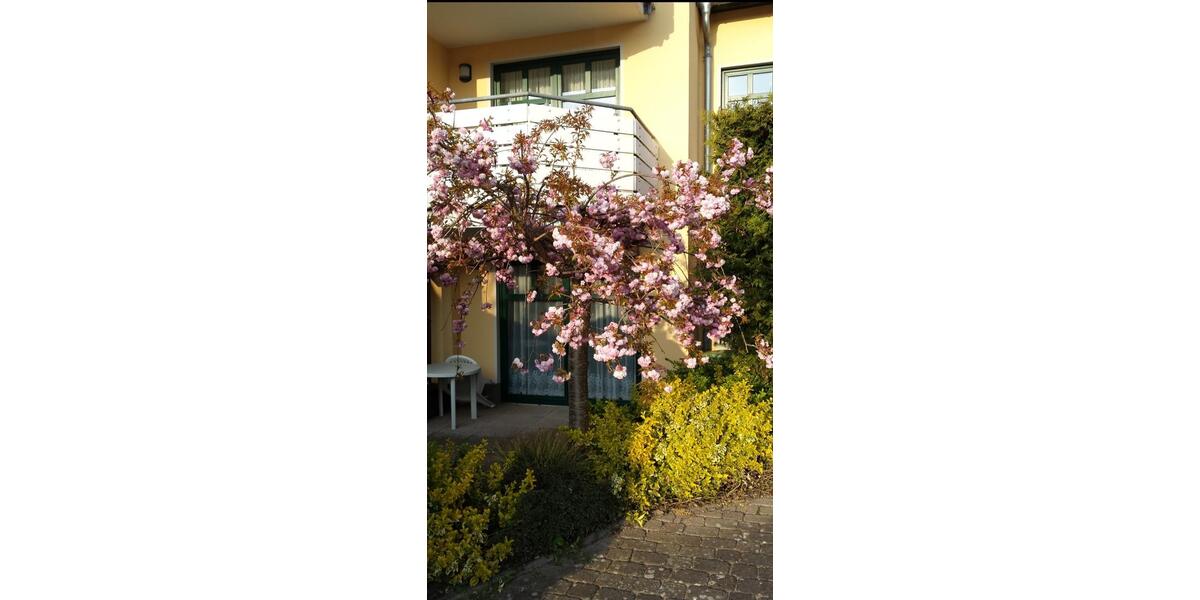 Dachgeschoßwohnung Bad Doberan - 3 Zimmer, 82 m&sup2;, 900&euro; | Angebot:24828203