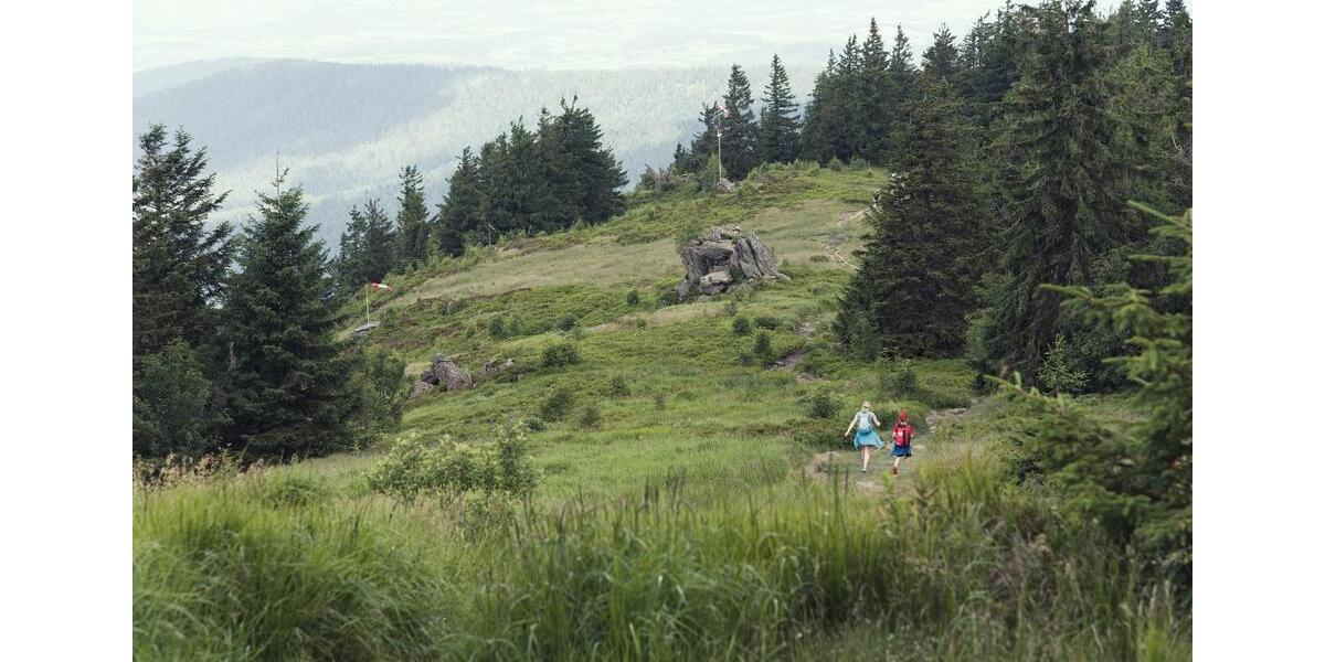 Wohnung Wohnen auf Zeit oder als Ferien Refugium in Eschlkam 2 zimmer