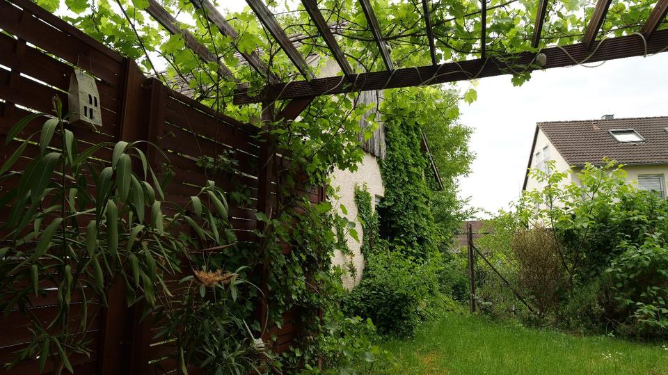 Wohnen auf Zeit Köngen - 1 Zimmer, 25 m&sup2;, 650&euro; | Angebot:26445116