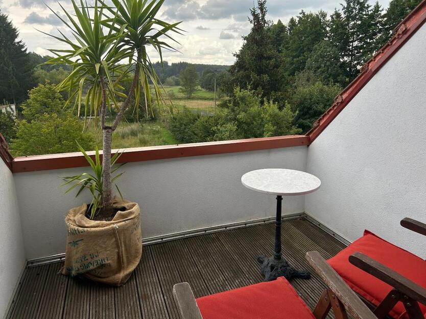 Lust aufs Land? Schönes EinZimmer-Apartment