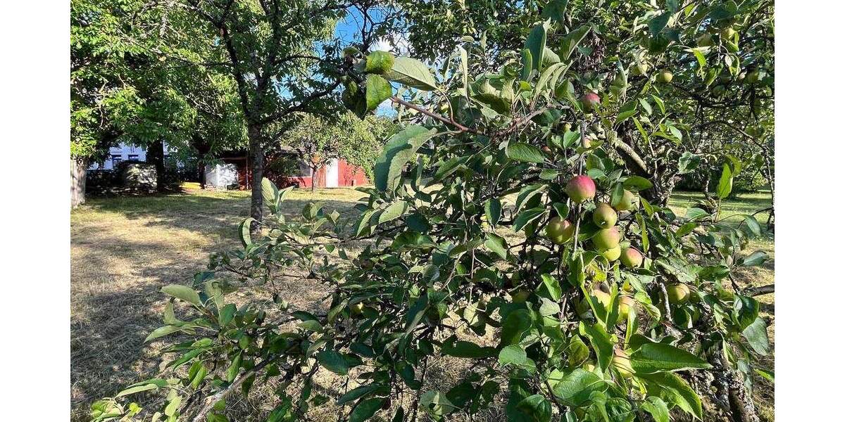 Einfamilienhaus Bad Sobernheim - 4 Zimmer, 173 m&sup2;, 1.500&euro; | Angebot:25741736