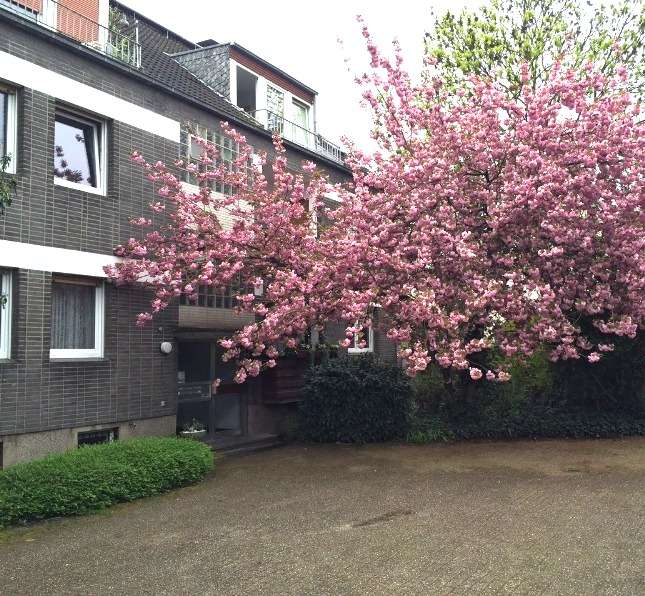 Etagenwohnung Duisburg Großenbaum - 3 Zimmer, 84 m&sup2;, 919&euro; | Angebot:27179270