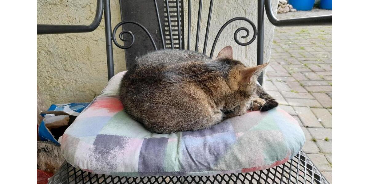 Wohnen auf Zeit Naumburg (Saale) - 3 Zimmer, 50 m&sup2;, 30&euro; | Angebot:23290491