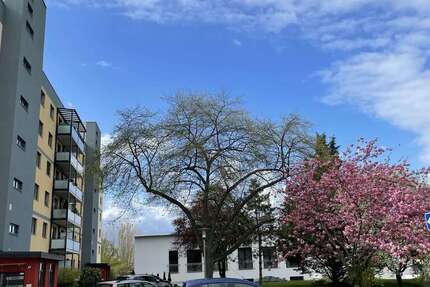 Wohnung Magdeburg Neustädter See - 2 Zimmer, 74 m&sup2;, 666&euro; | Angebot:25350508