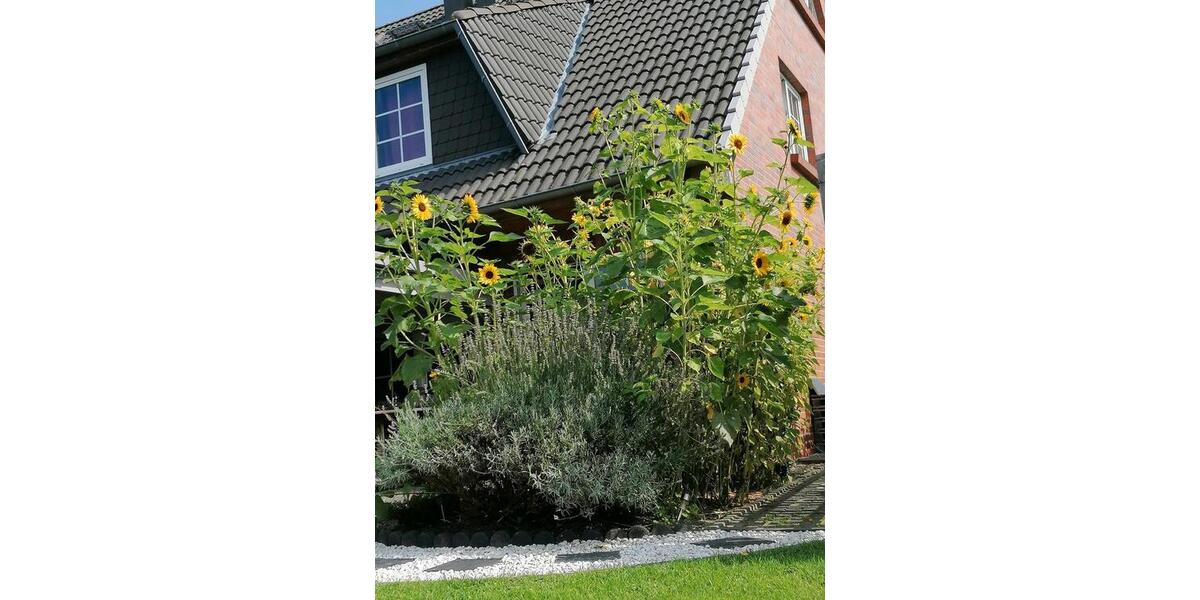 Zimmer frei 1 zimmer