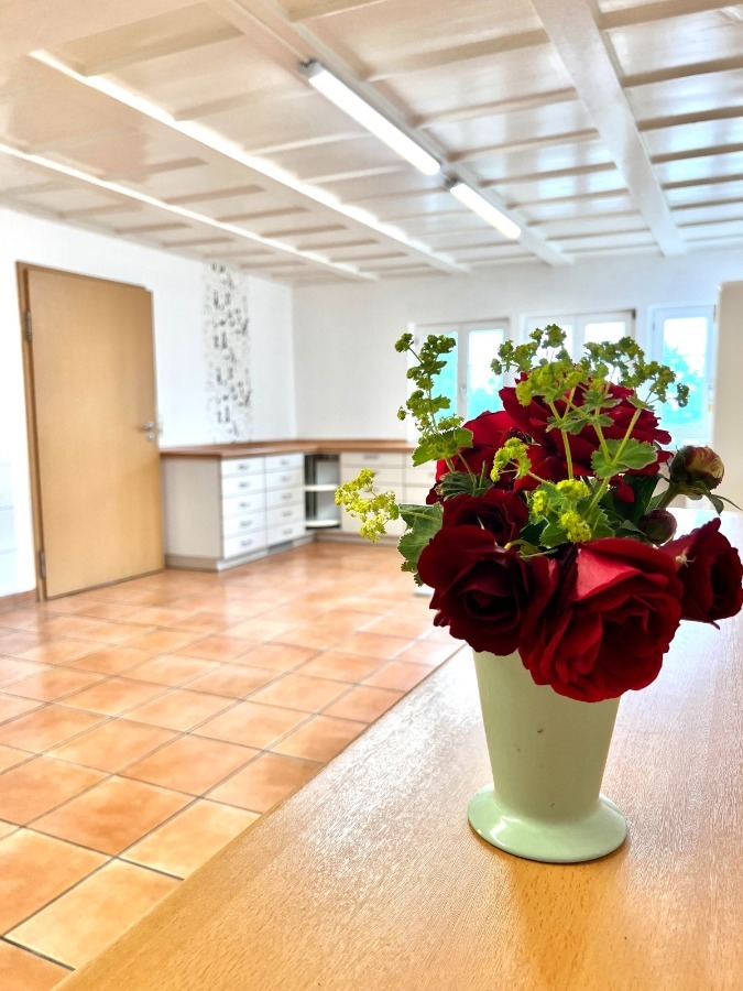 Praxis Ortsrand Singen mit 6 Räumen, 2 Eingängen & 8 Stellplätzen – Gewerberäume zimmer