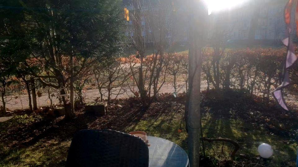 Wohnen auf Zeit Bremen Neustadt - 1 Zimmer, 59 m&sup2;, 287&euro; | Angebot:26618042