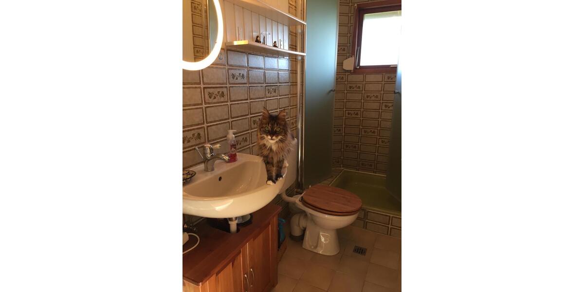 Einfamilienhaus Hohenfelde - 2 Zimmer, 50 m&sup2;, 900&euro; | Angebot:25974201