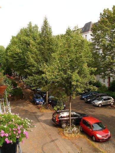Helle 2-Zi-Whg in Eimsbüttel • ca. 50 m² mit Südwestbalkon 2 zimmer