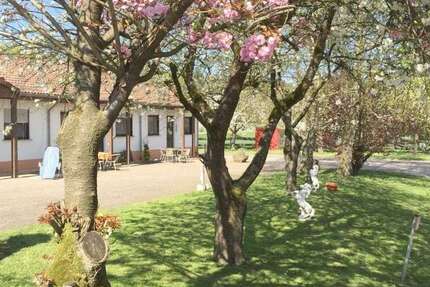 Zimmer Merzig Ballern - 3 Zimmer, 1.600&euro; | Angebot:24985300