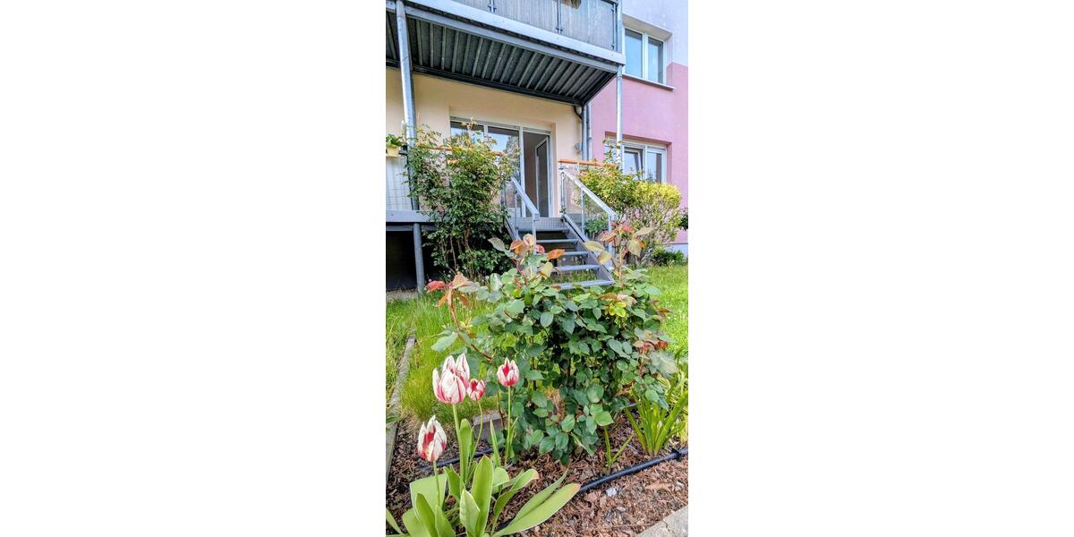 Hochparterre Cottbus Sachsendorf - 2 Zimmer, 50 m&sup2;, 562&euro; | Angebot:26688984