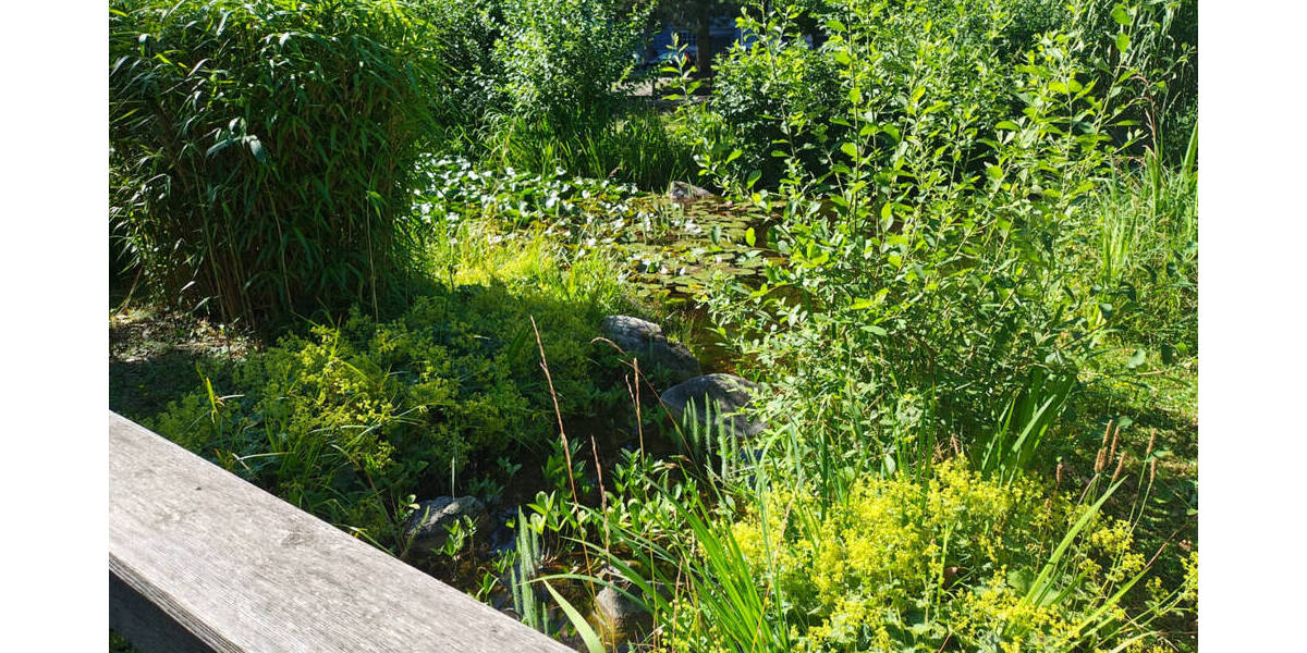 Gewerbeobjekt Bruchsal - 195&euro; | Angebot:26073623