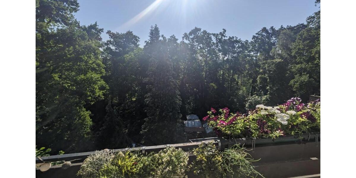 Blick in den Rednitzgrund - 120qm - 4 Zimmer - Garage, Stellplatz - SmartHome Heizung 4 zimmer