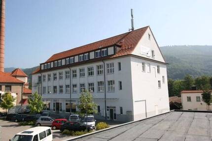 Gewerbeobjekt Wehr - 1 Zimmer, 33 m&sup2;, 295&euro; | Angebot:25877721