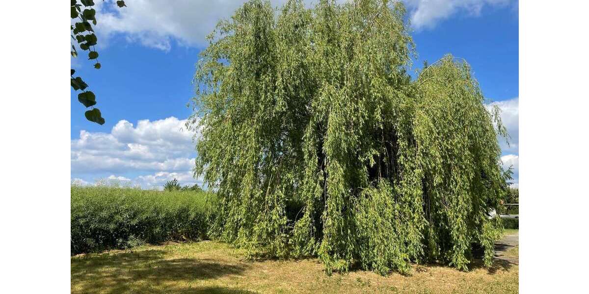 Schicke 2 Zimmer Wohnung mit Dusche - Appartement Elstra Kriepitz | Angebot:24485028