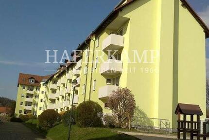 3-Zimmer-Wohnung mit Blick in das Ost-Erzgebirge 3 zimmer