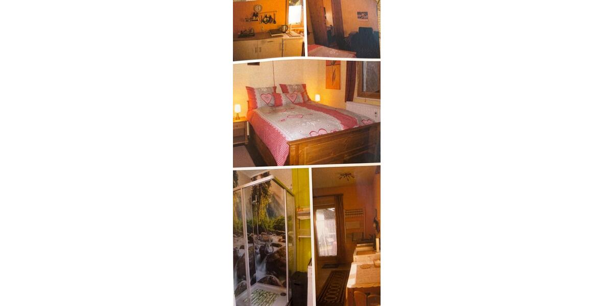 Wohnen auf Zeit Neuweiler - 2 Zimmer, 25 m&sup2;, 40&euro; | Angebot:25332985