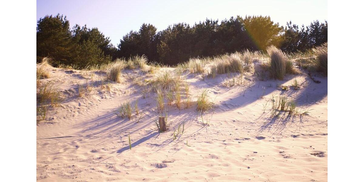 Nachmieter: 1,5 WE1.1 KH-FH - EBK, FB-Heizung, Spitzboden, Garten 1.5 zimmer