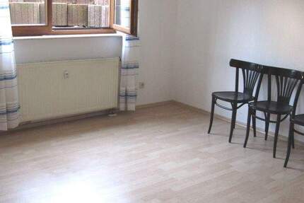 Nette Souterrain-Wohnung im OT Neckarhausen - 104020 1 zimmer