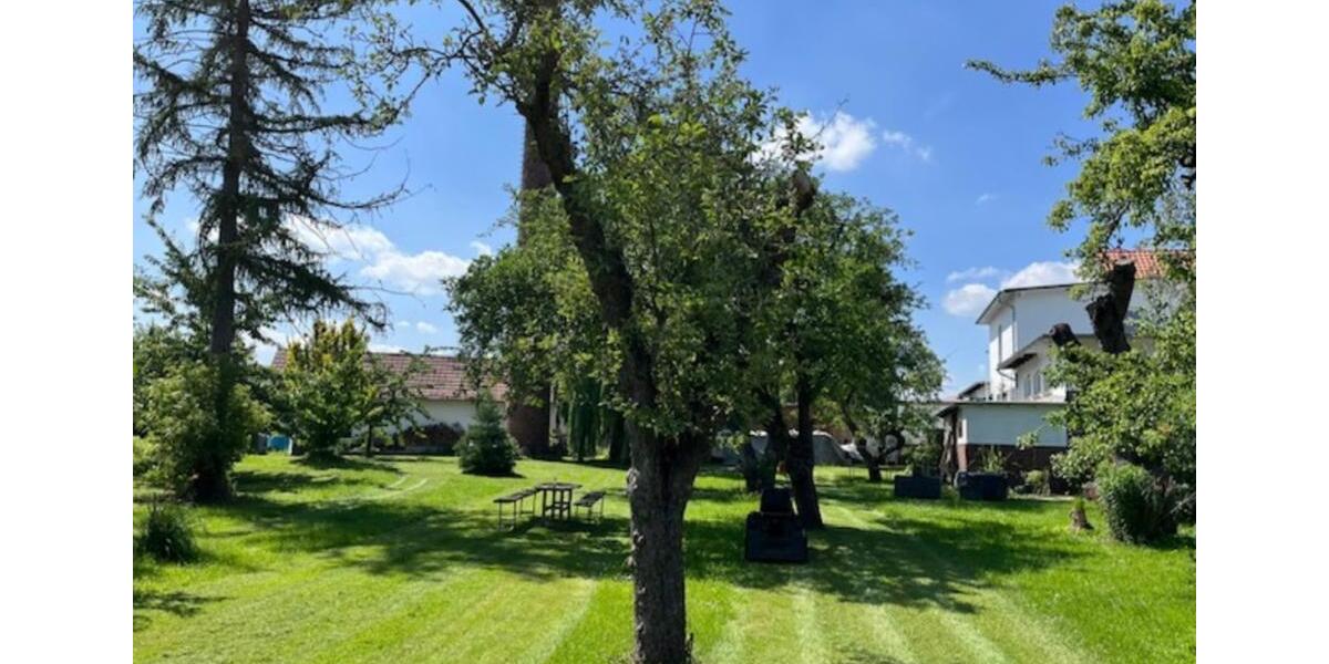 Dachgeschoßwohnung Bad Harzburg - 3 Zimmer, 950&euro; | Angebot:22501211