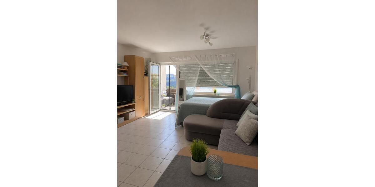 Erdgeschoßwohnung Winterberg - 1 Zimmer, 49 m&sup2;, 365&euro; | Angebot:26700823