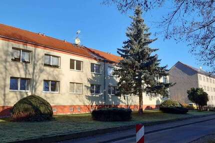 Wohnung Gerdshagen - 3 Zimmer, 58 m&sup2;, 400&euro; | Angebot:27069316