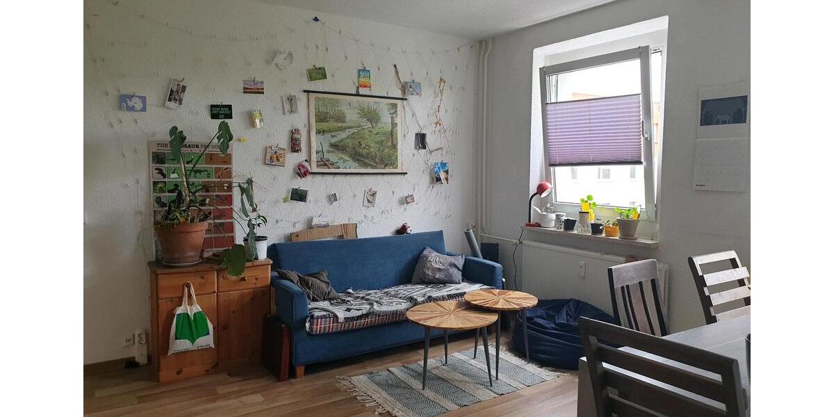 Wohnen auf Zeit Greifswald Groß Schönwalde - 1 Zimmer, 60 m&sup2;, 315&euro; | Angebot:26492588