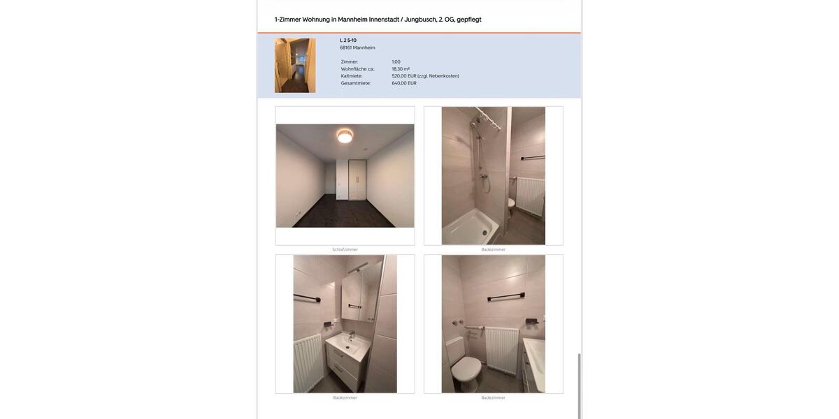 Etagenwohnung Sandhausen - 1 Zimmer, 18 m&sup2;, 640&euro; | Angebot:26613959