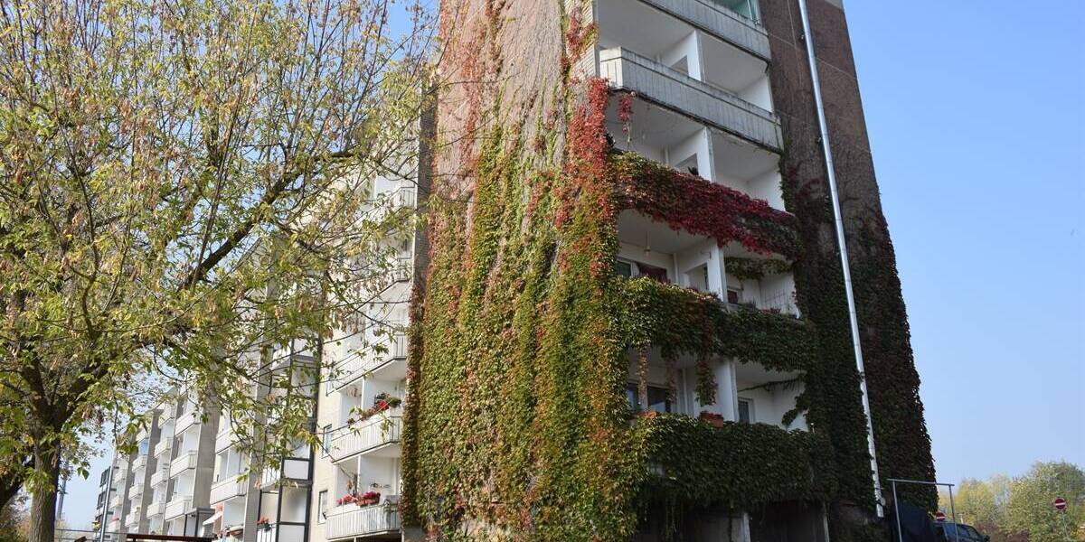 Etagenwohnung Hainichen - 3 Zimmer, 68 m&sup2;, 342&euro; | Angebot:26393380