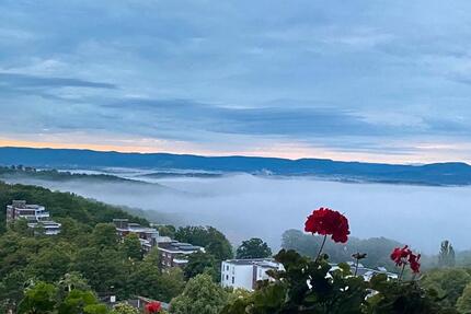 Wohnung Tübingen Schönblick / Winkelwiese - 1 Zimmer, 68 m&sup2;, 540&euro; | Angebot:25145586