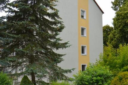 Wohnung Reichenbach im Vogtland - 2 Zimmer, 47 m&sup2;, 250&euro; | Angebot:27632124