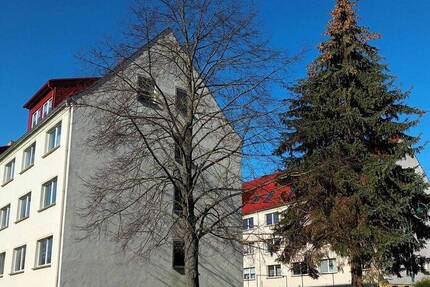 4-Zimmer-Wohnung, frisch saniert mit Potenzial 4 zimmer