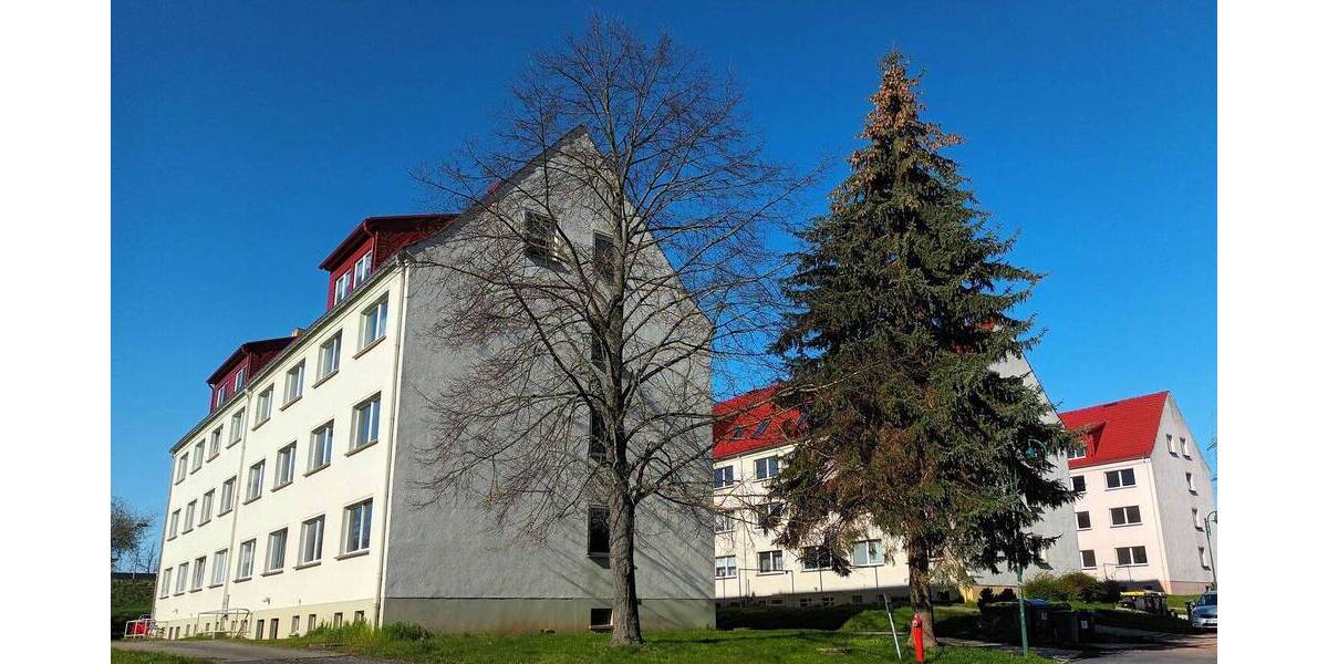 4-Zimmer-Wohnung, frisch saniert mit Potenzial 4 zimmer