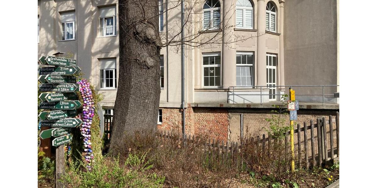 Durchstarten in Thalheim mit Praxis Büro Studio Kanzlei Laden zimmer