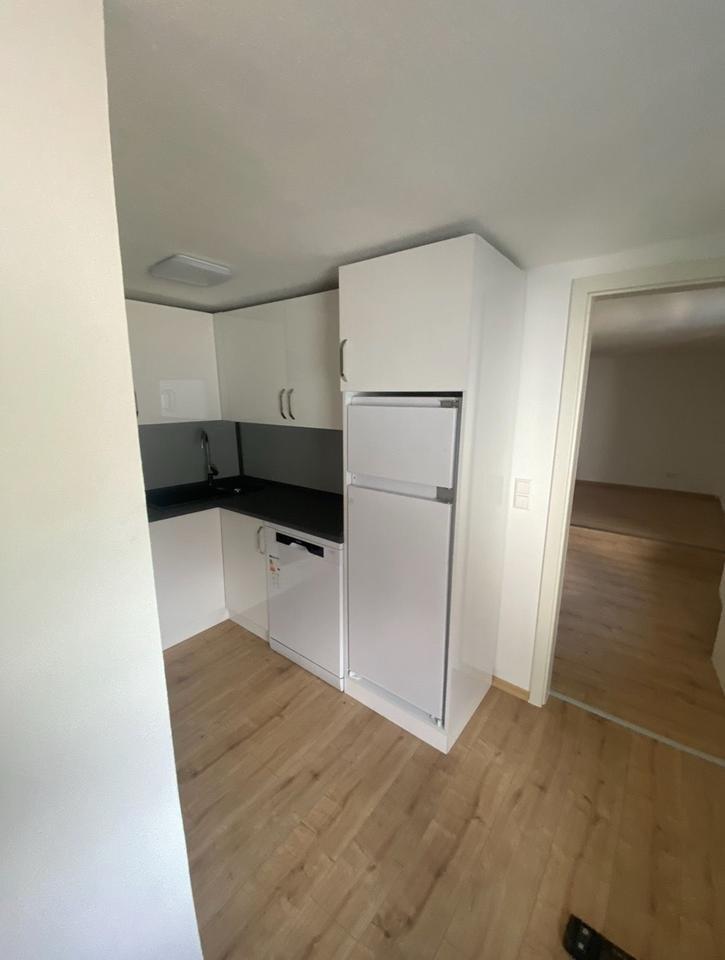 1 Zimmerwohnung mit separten Küche, 1ZKB Etagenwohnung