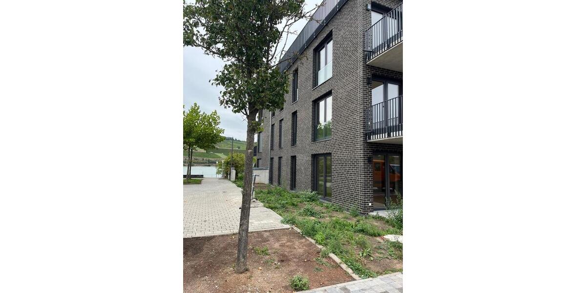 2 Zimmer Wohnung in schönster Lage direkt am Rhein 2 zimmer