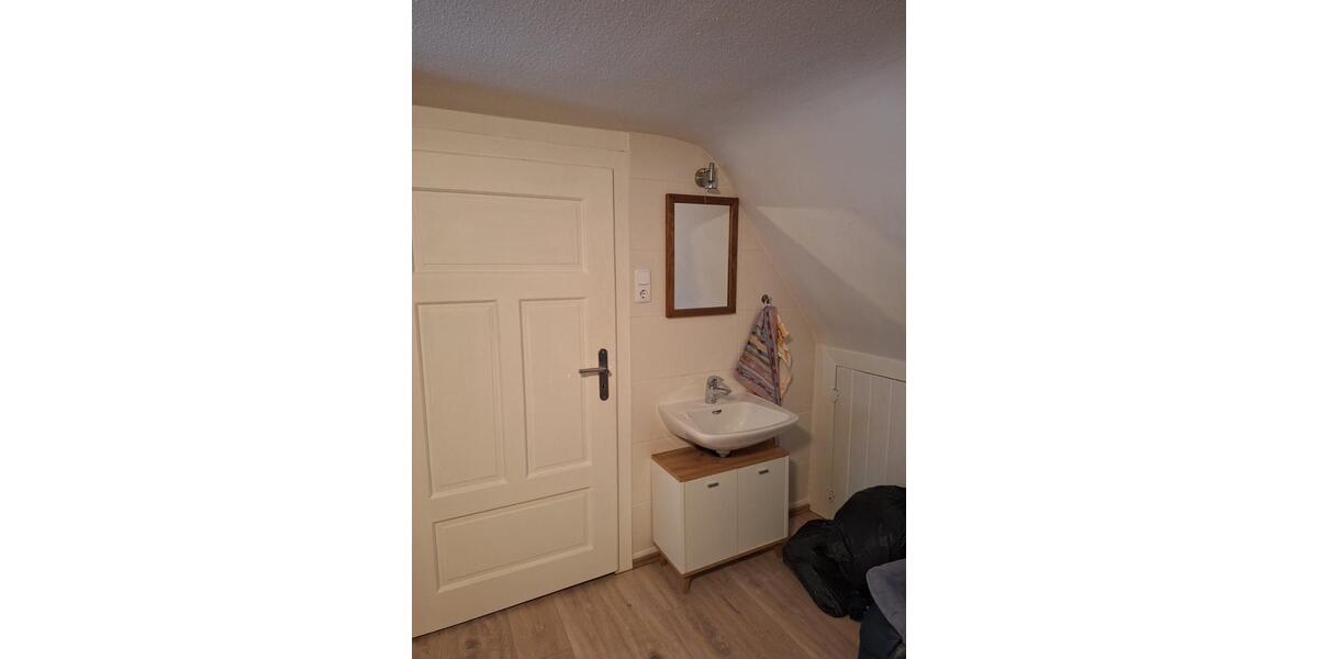 Wohnen auf Zeit Friesenheim - 1 Zimmer, 16 m&sup2;, 495&euro; | Angebot:25922757