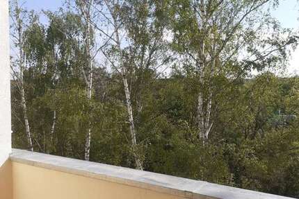 Wohnung Bad Düben - 2 Zimmer, 49 m&sup2;, 385&euro; | Angebot:25129256