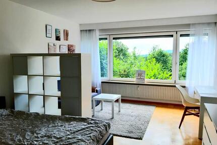 grosses löffelfertiges WG-Zimmer mit Internet, TV, Gästeküche, Doppelbett, BadWc-Mitbenützung, Waschmaschine, Trockner