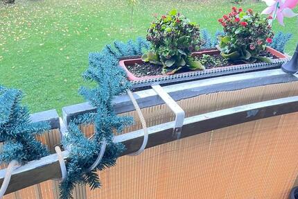 Wohnung Frankenberg (Sachsen) - 3 Zimmer, 59 m&sup2;, 550&euro; | Angebot:24400588