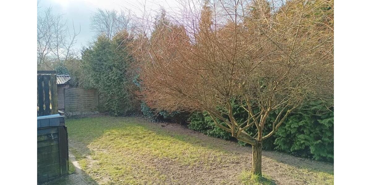 Einfamilienhaus Lüneburg Ebensberg - 5 Zimmer, 120 m&sup2;, 1.650&euro; | Angebot:26483573